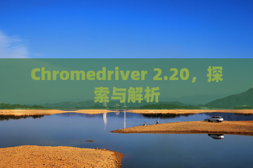 Chromedriver 2.20，探索与解析
